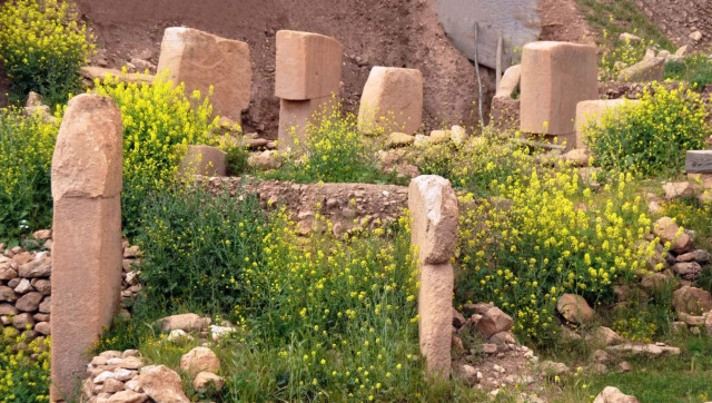 Ці відкриття можуть ще раз переписати передісторію 